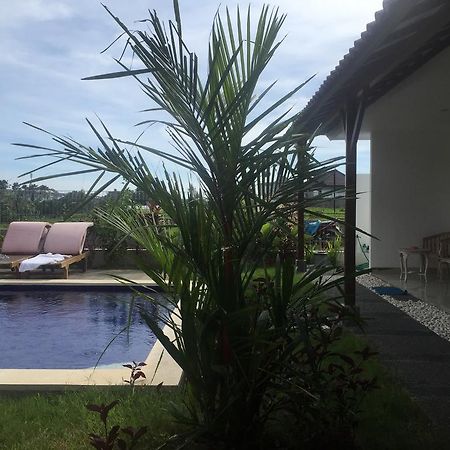 Pererenan Nengah Guest House Canggu Esterno foto