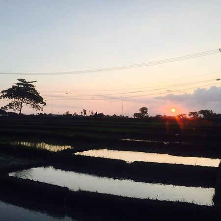 Pererenan Nengah Guest House Canggu Esterno foto
